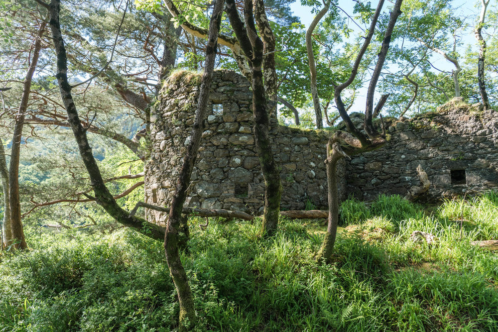 History of Clan MacFarlane