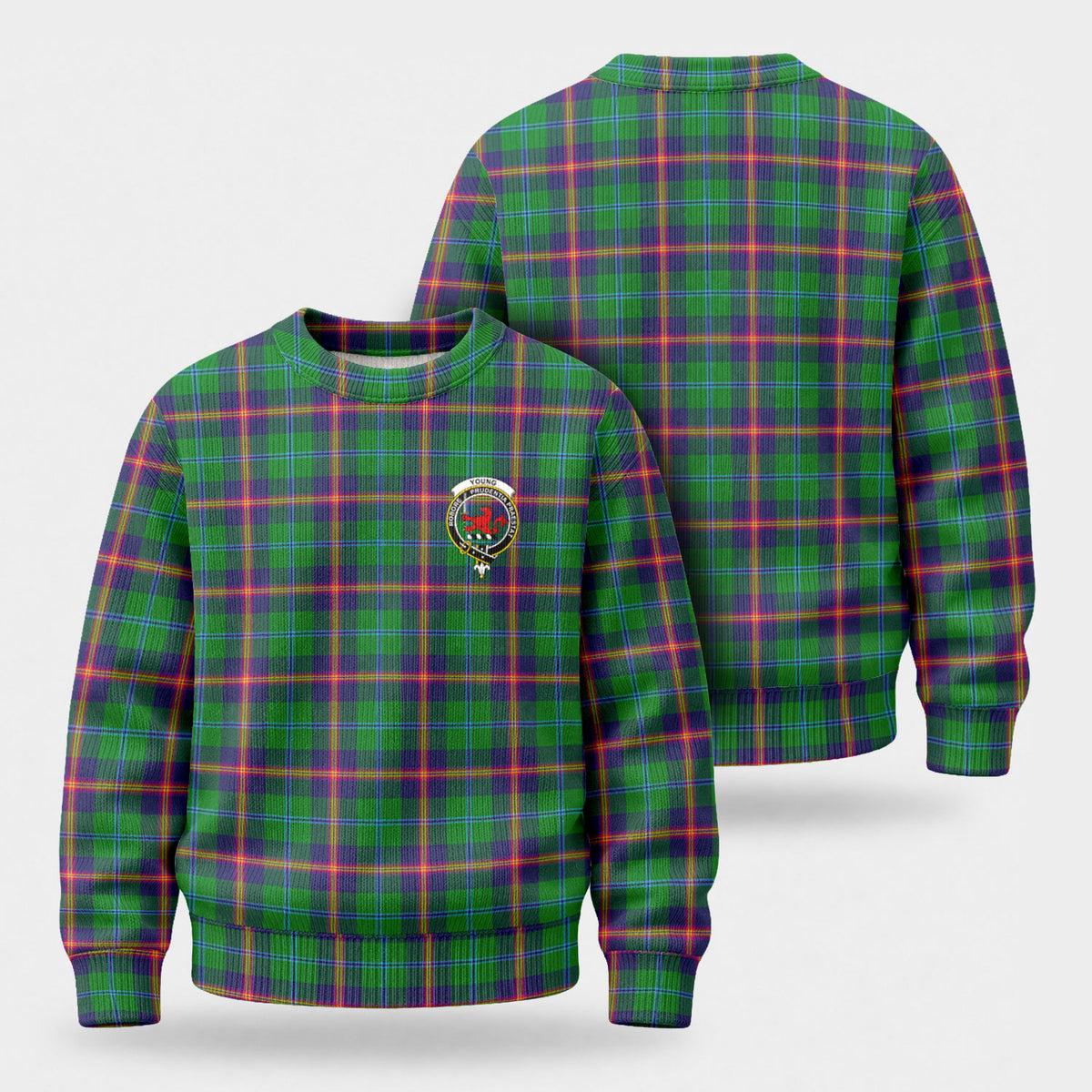 Young Modern Tartan Crest Sweater