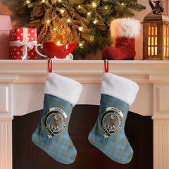 Agnew Ancient Tartan Crest Christmas Stocking