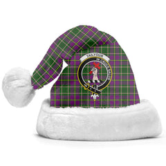 Tailyour Tartan Crest Christmas Hat