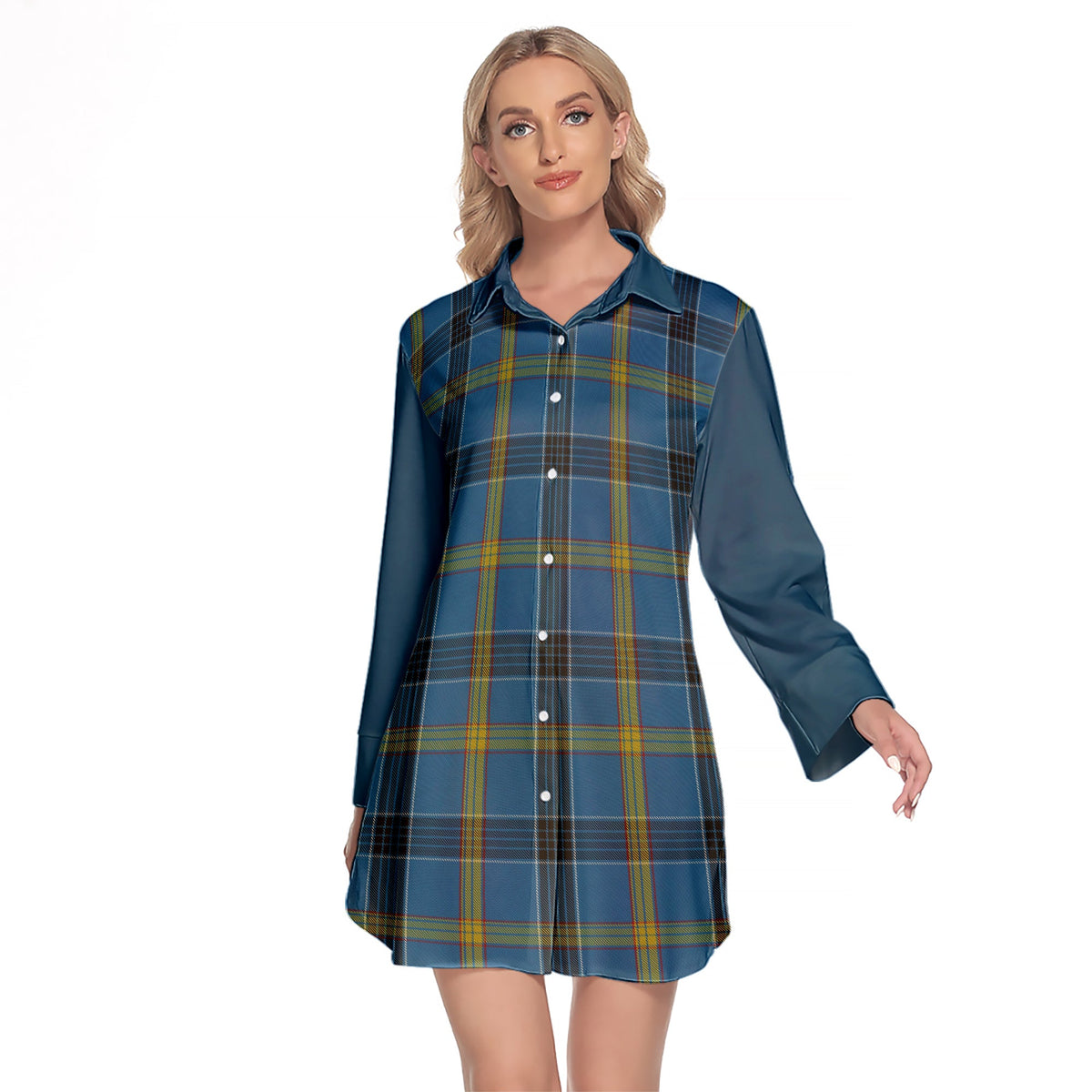 Laing Tartan Women's Lapel Shirt Dress With Long Sleeve